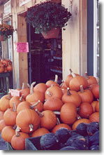 Brighton Rundles Farm Market - Pumpkins