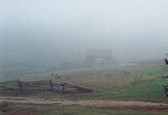 Kentucky Mist