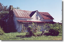 Abandoned Homestead